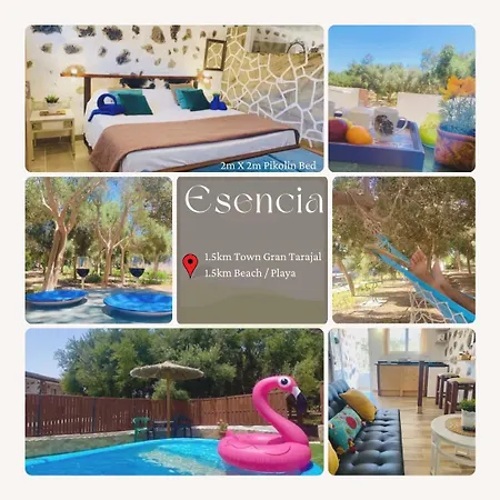 Ferienhaus Alma #only Adults *
